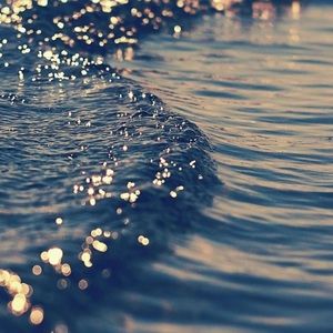 Meet your Posher, Alie